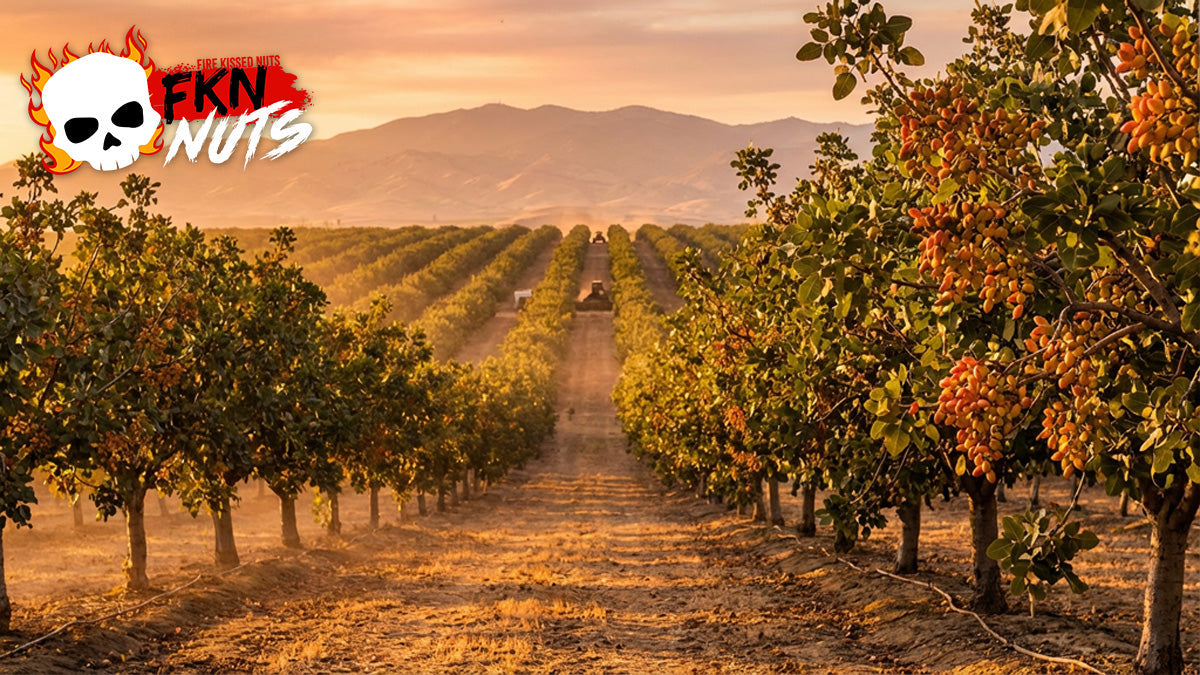 Where do pistachios come from? Complete guide to pistachio origins, growing regions worldwide, how pistachio farming works, and why California pistachios are so fresh.